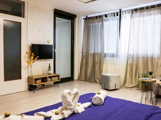 Center Cozy Apartment Σουμπότικα Εξωτερικό φωτογραφία