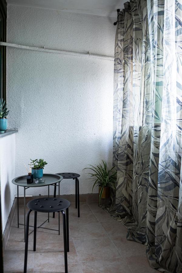 Center Cozy Apartment Σουμπότικα Εξωτερικό φωτογραφία